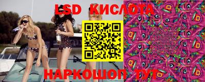 дурь Будённовск