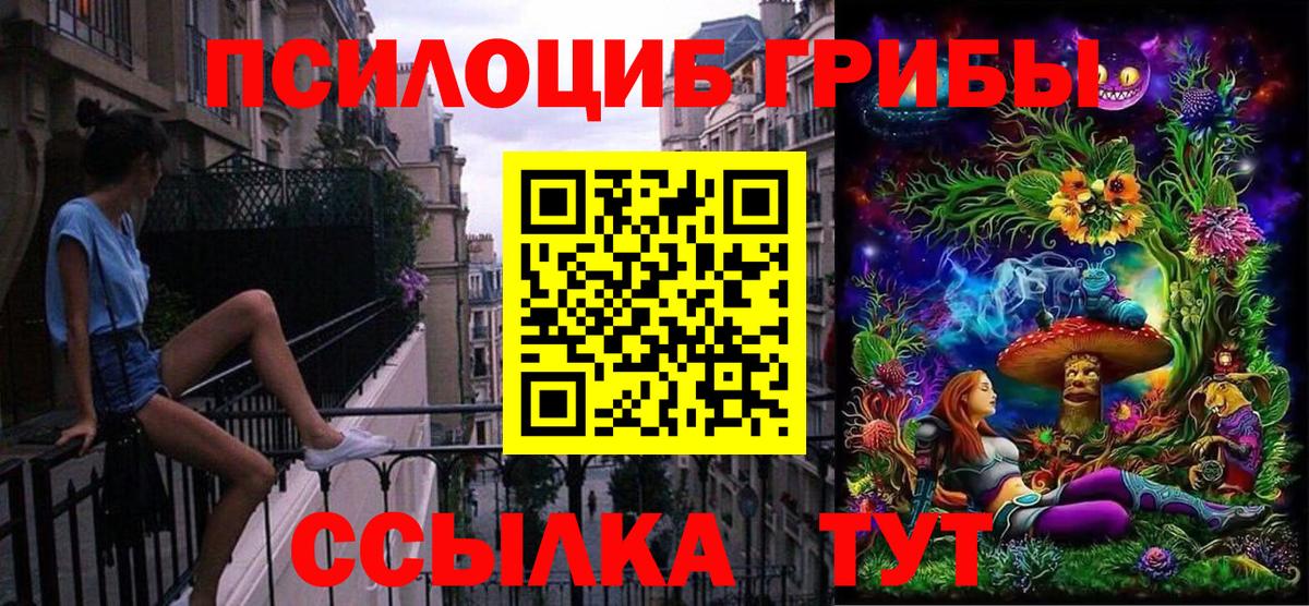 Галлюциногенные грибы Psilocybine cubensis Тайшет